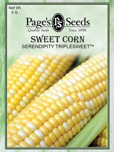 Sweet Corn Serendipity