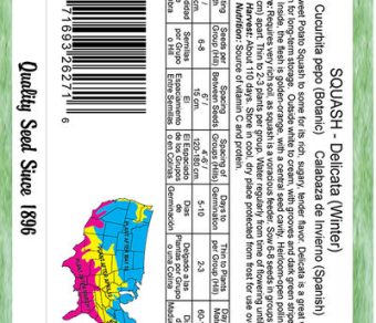 Squash Delicata (Winter)