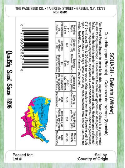 Squash Delicata (Winter)