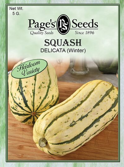 Squash Delicata (Winter)