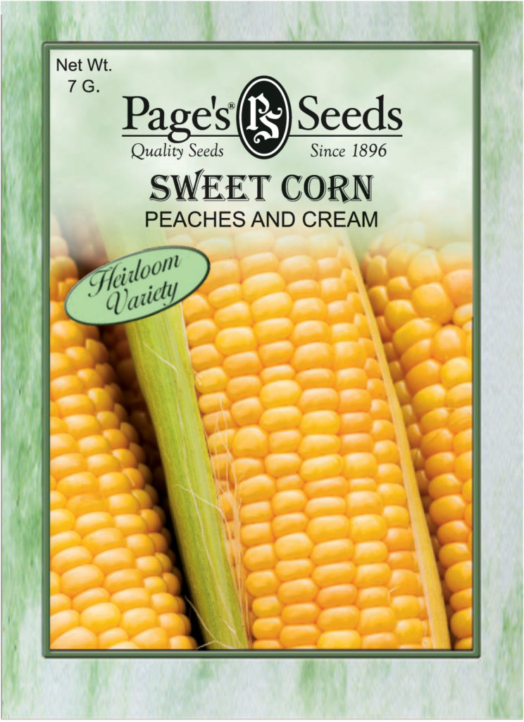 Sweet Corn Peaches and Cream The Page Seed Company, Inc