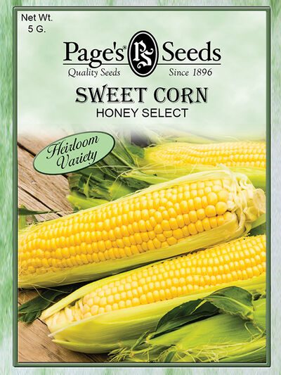 Sweet Corn Honey Select