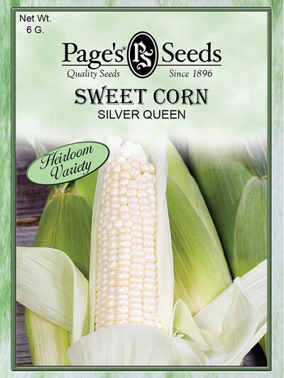 Sweet Corn Silver Queen