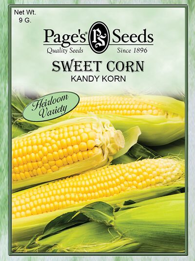 Sweet Corn Kandy Korn