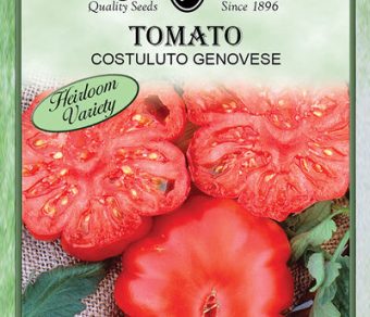 Tomato Constulto Genovese