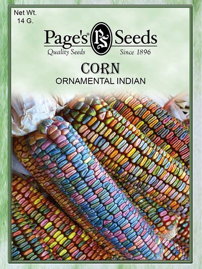 Corn Ornamental