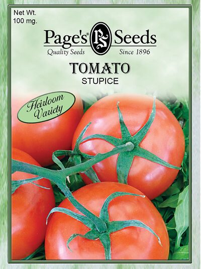 Tomato Stupice
