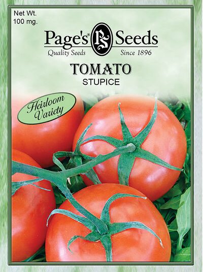 Tomato Stupice