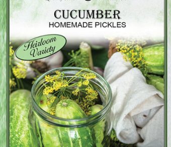 Cucumber Homemade Pickles