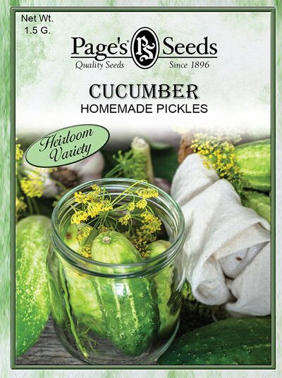Cucumber Homemade Pickles