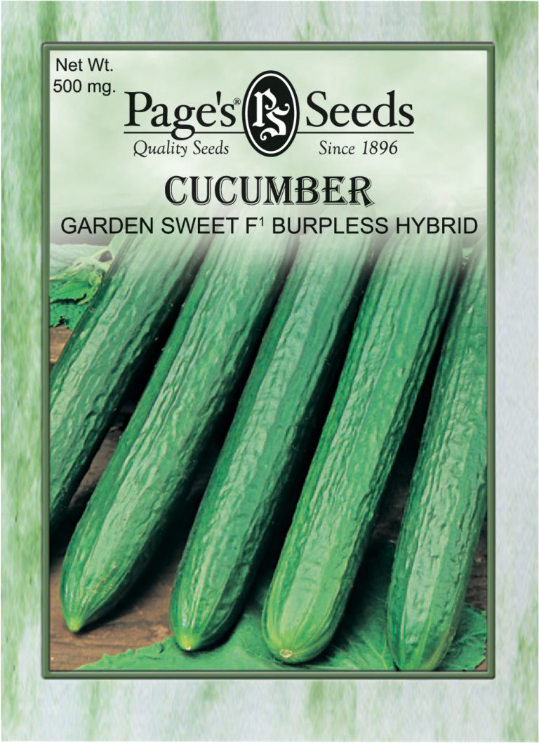 Cucumber Garden Sweet F1 Burpless Hybrid The Page Seed Company, Inc