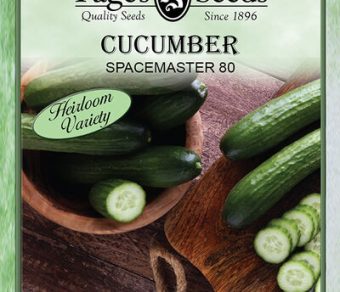 Cucumber Spacemaster 80