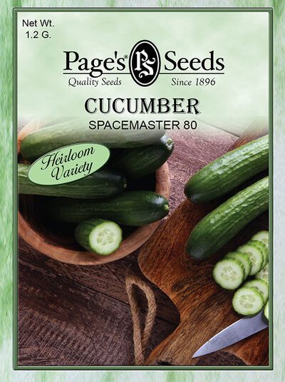 Cucumber Spacemaster 80