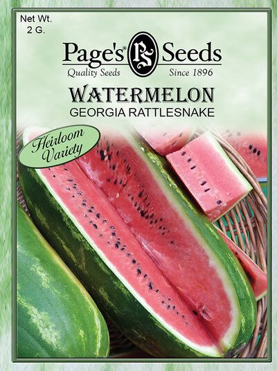 Watermelon Georgia Rattlesnake