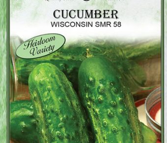 Cucumber Wisconsin SMR 58