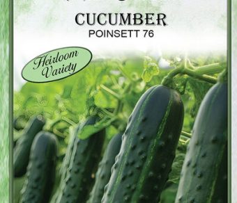 Cucumber Poinsett 76