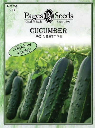 Cucumber Poinsett 76