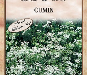 Cumin