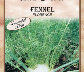 Fennel-Florence