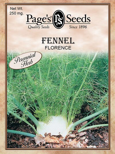Fennel-Florence