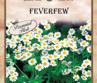 Feverfew