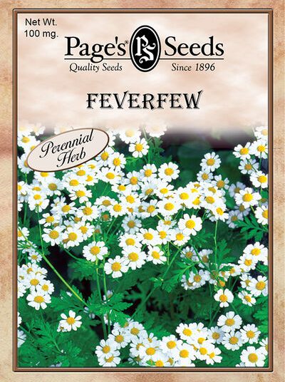 Feverfew
