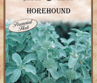 Horehound
