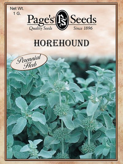 Horehound