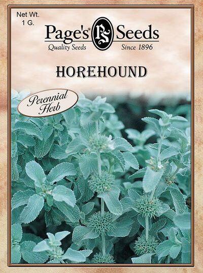 Horehound