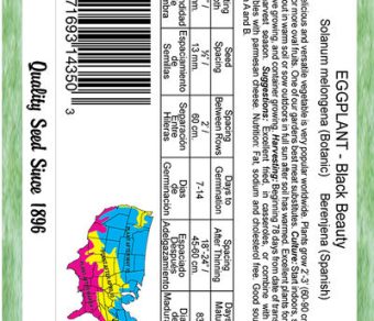 Eggplant Black Beauty