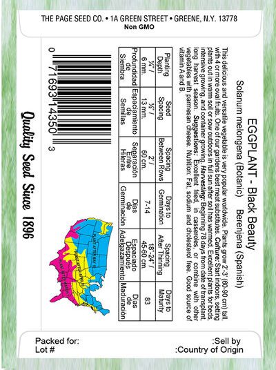 Eggplant Black Beauty