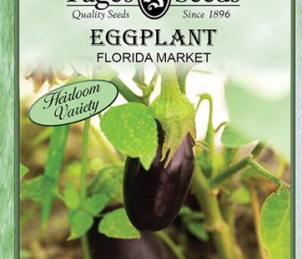 Eggplant Flordia Market