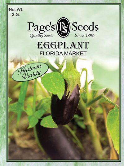 Eggplant Flordia Market