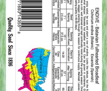 Endive Batavian Fullhearted Broadleaf