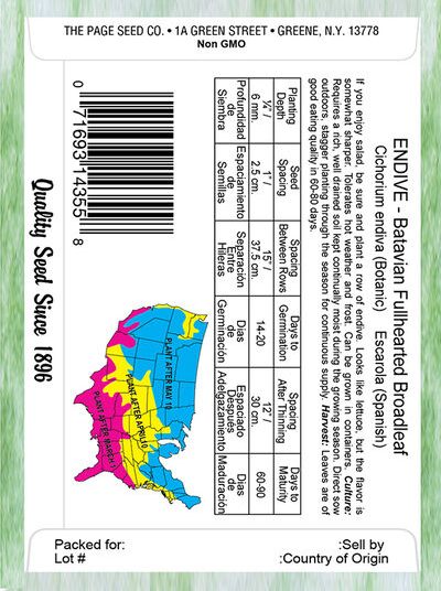 Endive Batavian Fullhearted Broadleaf