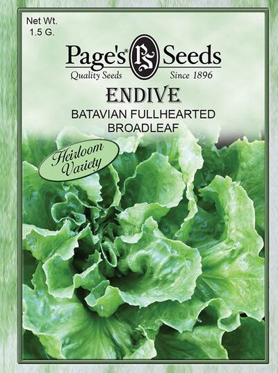 Endive Batavian Fullhearted Broadleaf
