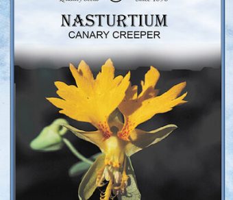 Nasturtium Canary Creeper