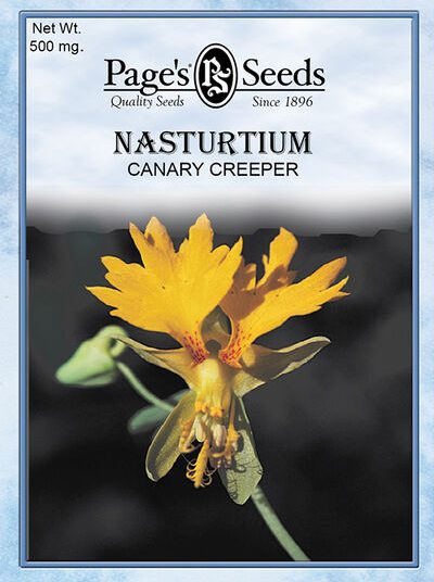 Nasturtium Canary Creeper