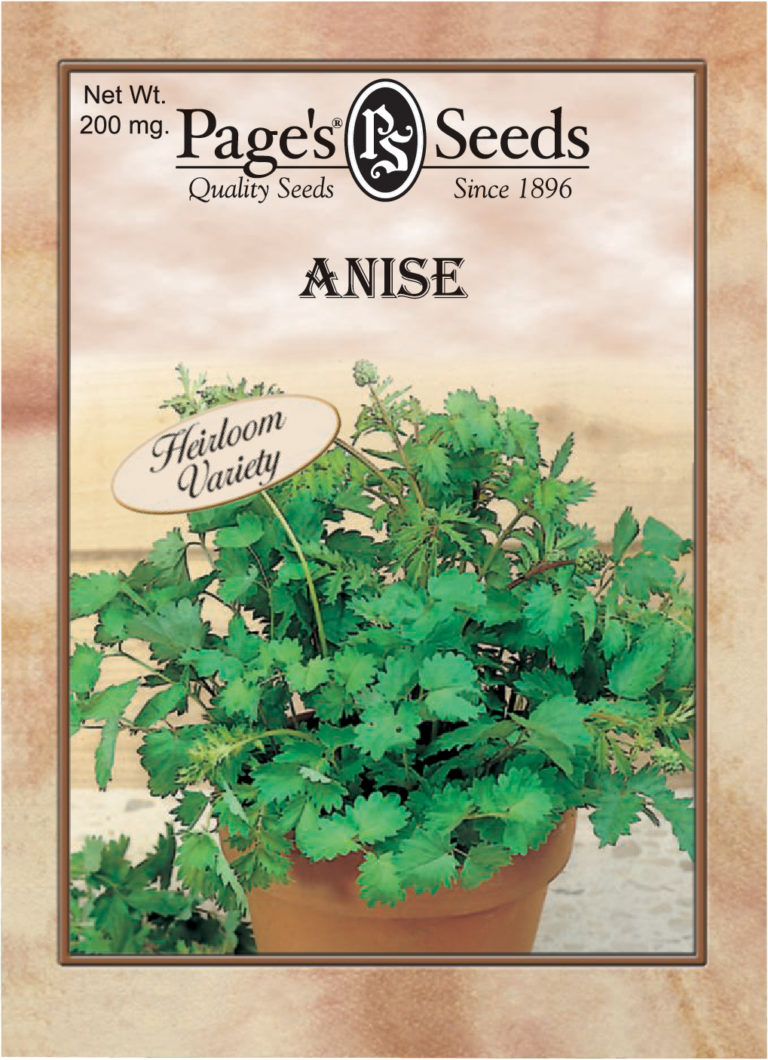Anise Herb The Page Seed Company, Inc