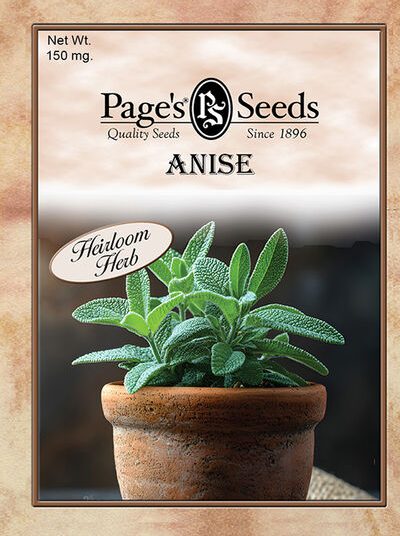 Anise