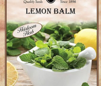 Lemon Balm