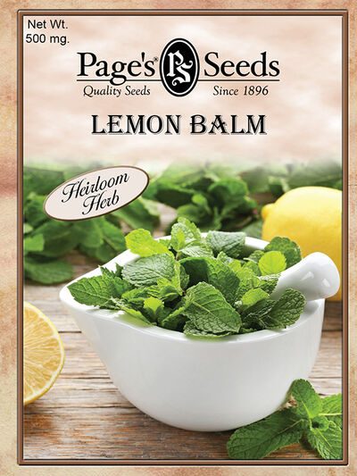 Lemon Balm