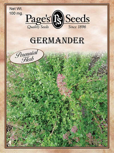 Germander
