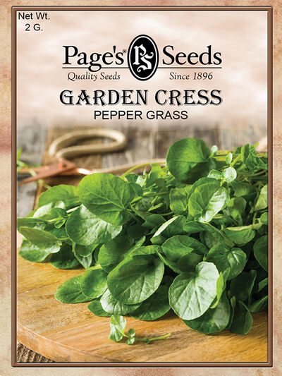 Garden Cress