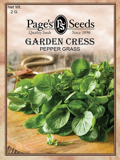 Garden Cress