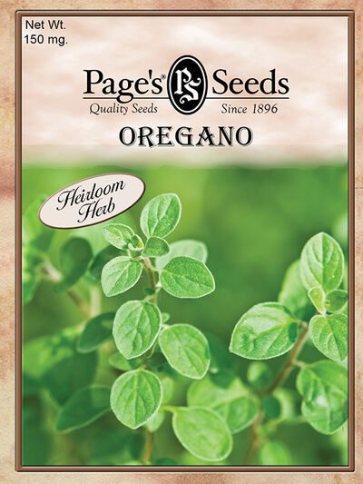 Oregano