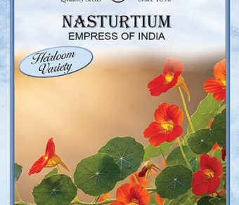 Nasturtium Empress of India