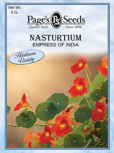Nasturtium Empress of India