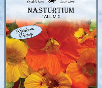 Nasturtium Tall Mix
