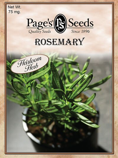 Rosemary